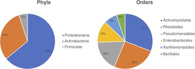 Insights Into the Ecological Role of Pseudomonas spp. in an Ant-plant Symbiosis